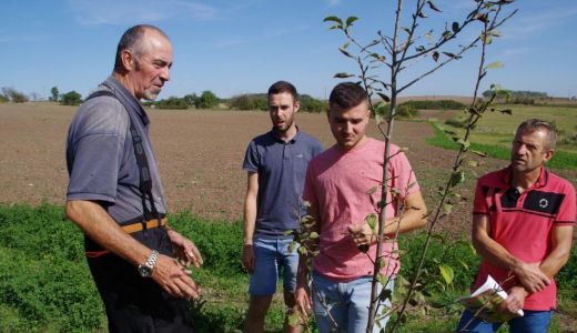 CLUB ARBORICULTURE AU PETIT VERGER 57